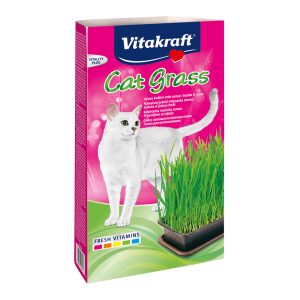 Cat Grass Γρασίδι για γάτες 120gr