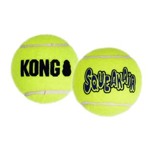 Squeakair Tennis