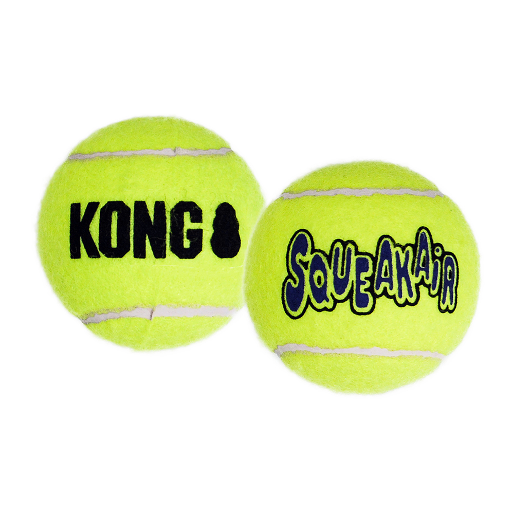 Squeakair Tennis