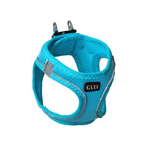 Glee Σαμαράκι Joy πετρόλ, Ιμάντα τύπου Saddle