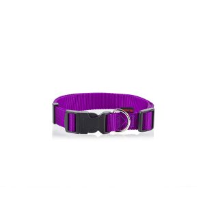 DOG COLLAR PLAIN-PURPLE