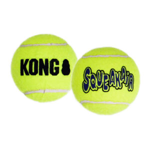 Squeakair Tennis
