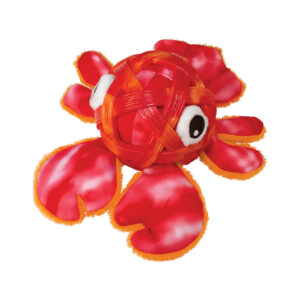 Sea Shells Lobster